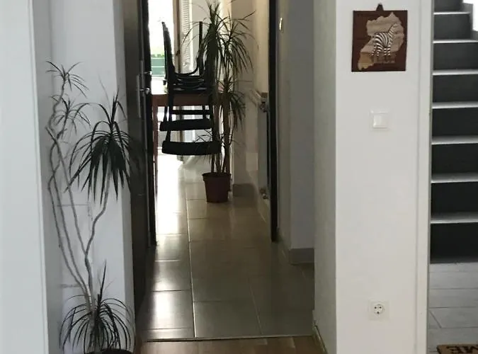 2 *